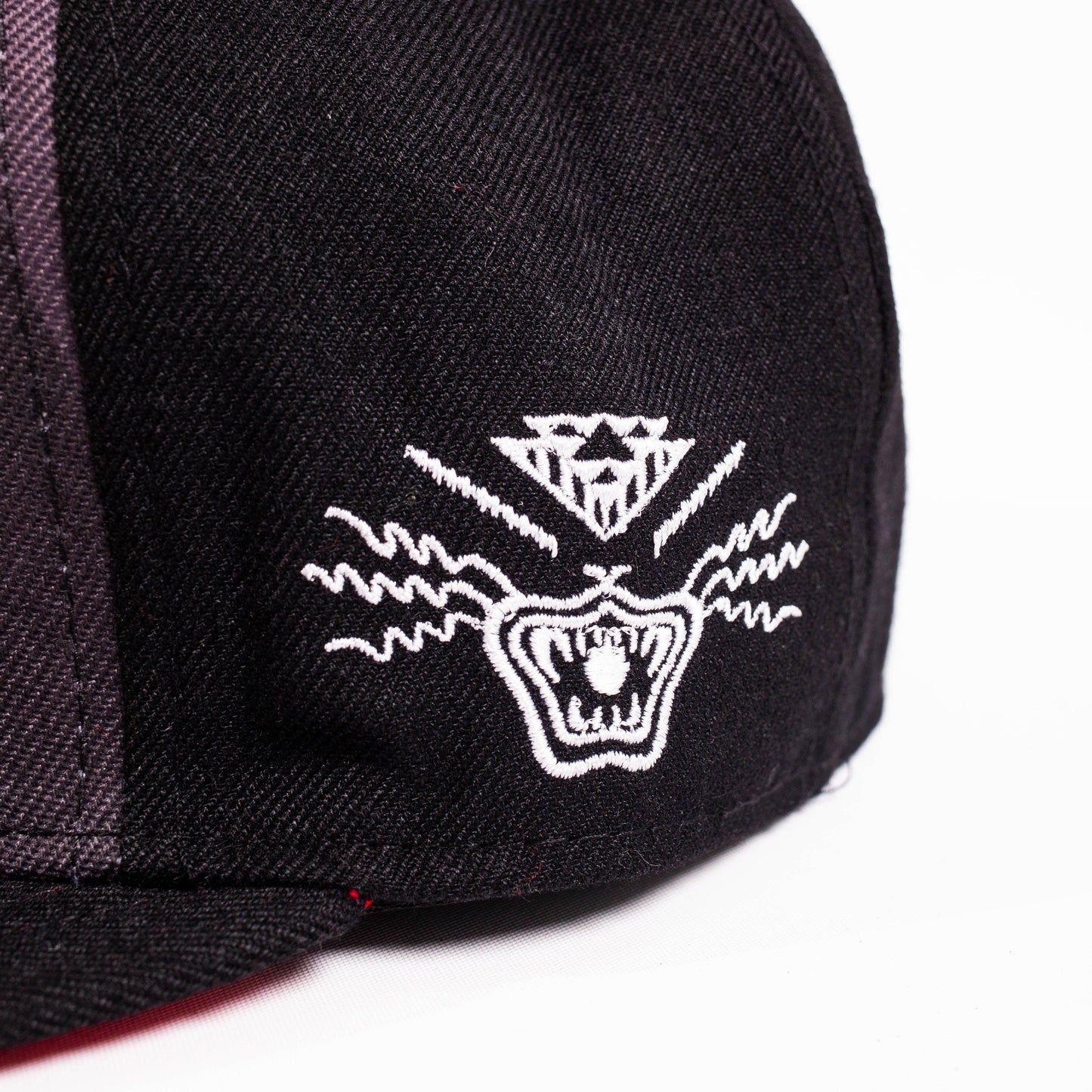 TISA JUNETEENTH FITTED HAT - Allstarelite.com