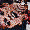MICHAEL JACKSON STAGE TAPESTRY SHORTS