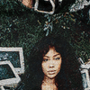 SZA CTRL TAPESTRY HOODIE
