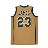 Lebron James Fighting Irish Gold High School Basketball Jersey