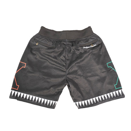 YOUTH MALCOLM X FOR THE TRUTH SHORTS (BLACK)