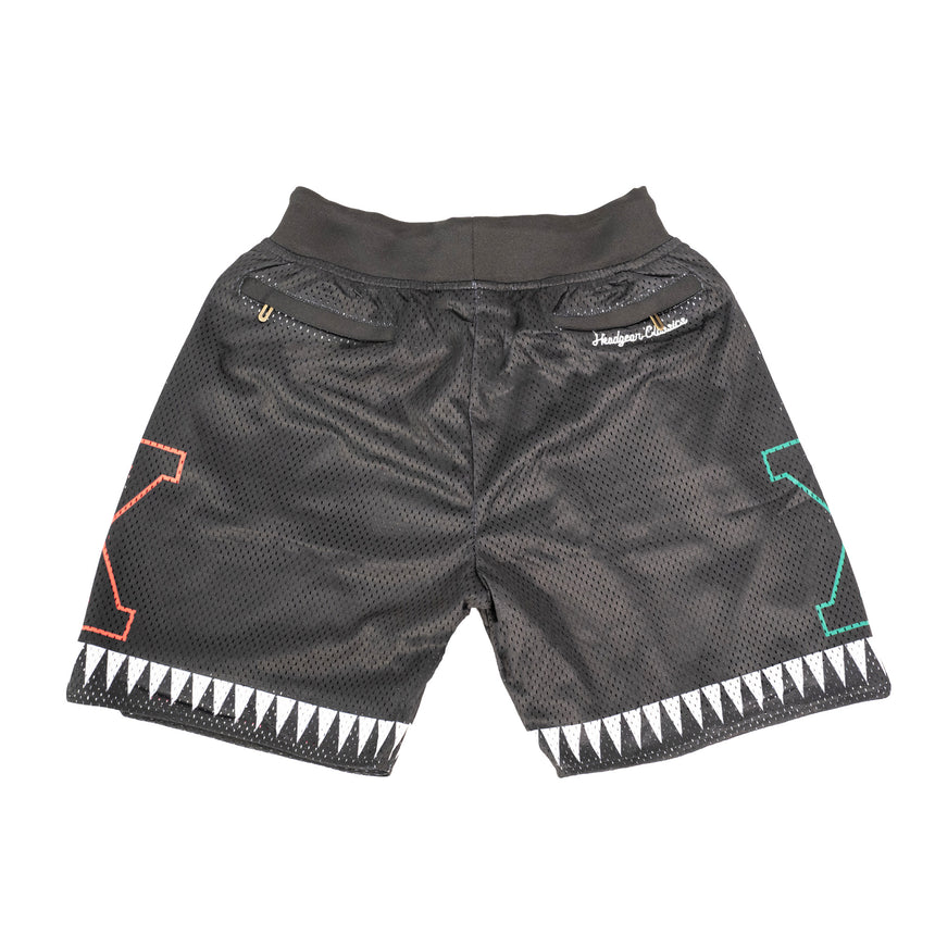 YOUTH MALCOLM X FOR THE TRUTH SHORTS (BLACK)