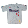 CLEVELAND JERSEY (GREY)