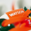 WATSON BONESTA SNEAKERS (HURRICANE)