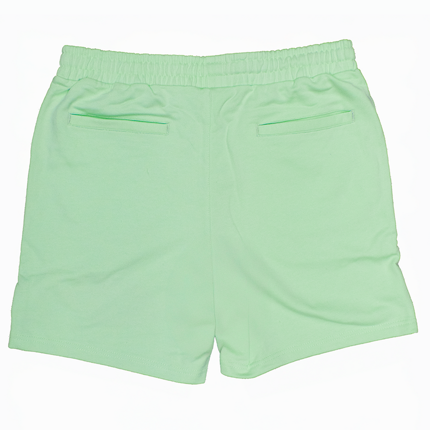 WATSON DIGITAL DREAMSCAPE WORLDWIDE COTTON SHORTS (MINT)