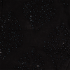 CROSS RHINESTONE DENIM PANTS (BLACK)