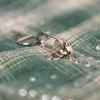 WATSON SPIDER WEB GREEN SHORT SLEEVE FLANNEL SHIRT