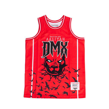 AALIYAH X DMX YOUTH BASKETBALL JERSEY - Allstarelite.com