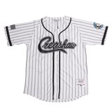 CRENSHAW PINSTRIPE BASEBALL JERSEY WHITE - Allstarelite.com