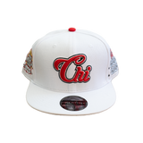 CHICAGO AMERICAN GIANTS LEAGUE CHAMPS FITTED HAT (WHITE)