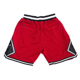 JORDAN CHICAGO WORLD CHAMPION BASKETBALL SHORTS - Allstarelite.com