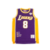 LEGEND MAMBA PURPLE BASKETBALL JERSEY - Allstarelite.com