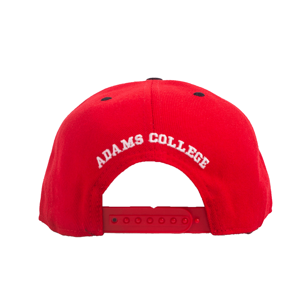 REVENGE OF THE NERDS HAT SNAPBACK - Allstarelite.com