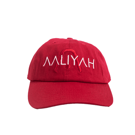 AALIYAH DAD HAT - Allstarelite.com