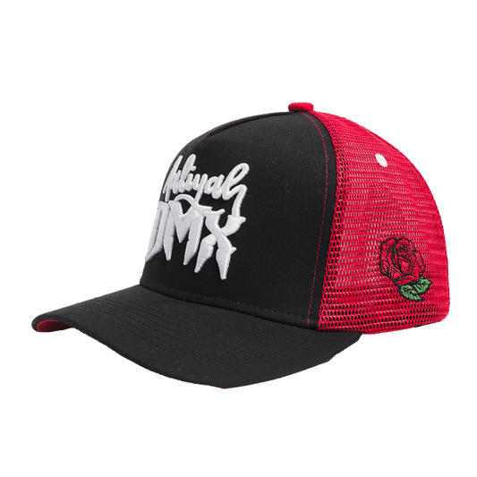 AALIYAH X DMX TRUCKER HAT - Allstarelite.com