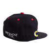 BLACK RESIDENT EVIL FITTED HAT - Allstarelite.com