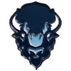 BLUE BISON PIN - Allstarelite.com