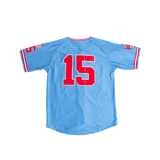 CHICAGO AMERICAN GIANTS BUTTON DOWN JERSEY - Allstarelite.com