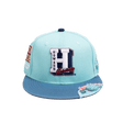 HOWARD UNIVERSITY FRAYED FITTED HAT - Allstarelite.com