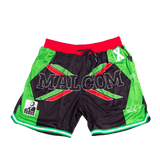 MALCOLM X AFRICA POWER SATIN SHORTS - Allstarelite.com