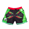 MALCOLM X AFRICA POWER SATIN SHORTS - Allstarelite.com