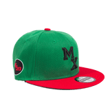 MALCOLM X GREEN FITTED HAT - Allstarelite.com