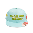 NORFOLK STATE UNIVERSITY FRAYED FITTED HAT - Allstarelite.com