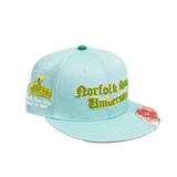 NORFOLK STATE UNIVERSITY FRAYED FITTED HAT - Allstarelite.com