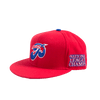 PHILADELPHIA STARS LEAGUE CHAMPS FITTED HAT - Allstarelite.com