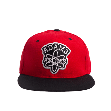 REVENGE OF THE NERDS HAT SNAPBACK - Allstarelite.com