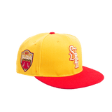 ST PAUL GOPHERS FITTED HAT - Allstarelite.com