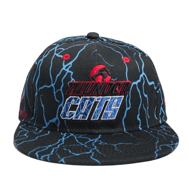 THUNDERCATS LION-O PANTHRO FITTED HAT - Allstarelite.com