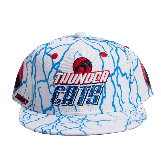 THUNDERCATS LION-O PANTHRO YOUTH HAT - Allstarelite.com