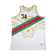 TISA STRIPED BASKETBALL JERSEY WHITE - Allstarelite.com