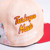 TUSKEGEE UNIVERSITY FRAYED FITTED HAT - Allstarelite.com